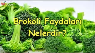 Brokoli Faydaları Nelerdir [upl. by Edahc]