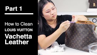 Clean Louis Vuitton Vachetta Leather  Delightful PM Part 1 [upl. by Dowling]