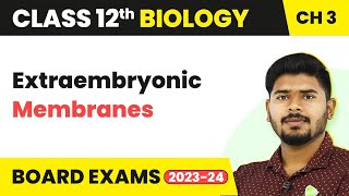 Extraembryonic Membranes  Human Reproduction  Class 12 Biology Chapter 3 NCERTNEET 202223 [upl. by Sevy261]