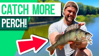 HOW TO Catch MORE Perch On Lures 5 tips [upl. by Hamford]