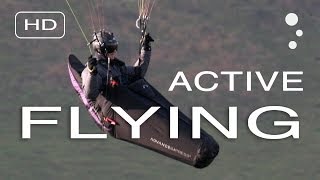 Paraglider Control How To Improve Your Active Flying [upl. by Lemrahc]