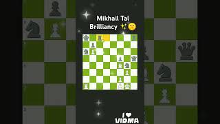 Mikhail Tal Brilliancy ✨🤫 체스 바비피셔 탁월 chess mikhailtal tal [upl. by Einnol]