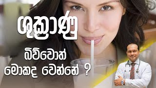 à·à·”à¶šà·Šâ€à¶»à·à¶«à·” à¶¶à·’à·€à·Šà·€à·œà¶­à·Š à¶¸à·œà¶šà¶¯ à·€à·™à¶±à·Šà¶±à·š   Dr Namal Wijesinghe [upl. by Anitserp]