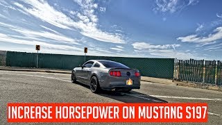 Make Your Mustang FASTER 3 Ways to Gain More HP Power on Mustang S197 [upl. by Clova611]