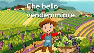 Che bello vendemmiare  Canzoni per bambini di Mela Music MelaEducational [upl. by Nyret]