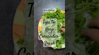 Tips for fresh coriander leaves tips coriander herb [upl. by Edithe]