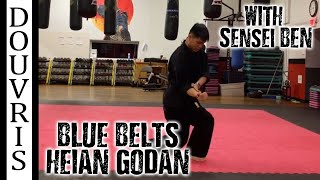 Blue Belts Heian Godan  DOUVRIS ORLEANS [upl. by Ahsito]