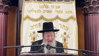 Geulah In Tishrei  Rav Yitzchok Sorotzkin Shlitquota [upl. by Eurd]