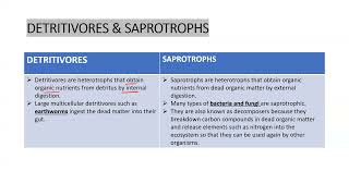 Difference bw Detritivores amp Saprotrophs apbiology ibbiology neetbiology ecology exam [upl. by Marciano260]