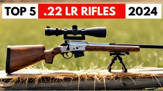 Top 5 BEST 22 LR Rifles In 2024 [upl. by Haliled433]