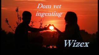 Wizex  Dom vet ingenting They dont know [upl. by Docia793]