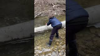 caught another fish bare handed while going fishing [upl. by Niwre385]