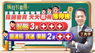 【飆股智囊團】丁兆宇分析師20230420 拉回會買天天都有漲停板！智聯3天3 豐達科 資通 安碁 2天2！ [upl. by Aneen]