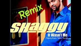 Shaggy It Wasnt Me Remix garage [upl. by Adnalra]