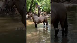 Ive had the best time with this girl💗 horse equestrain shorts shortsvideo [upl. by Emili]