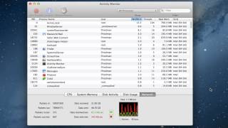 Fix a slow Mac with Activity Monitor [upl. by Atnahc]