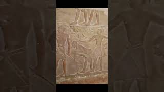 Sakkara tombs ancient clinic egypt history ancientegypt travel youtubeshorts pyramid statue [upl. by Ynos]