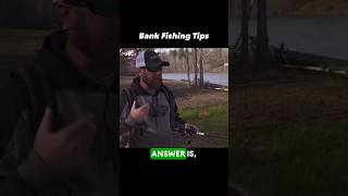 How to Catch More Fish from the Bank [upl. by Airret]