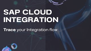 Trace your Integration Flow in SAP Cloud Integration  Monitor message processing [upl. by Lauraine664]