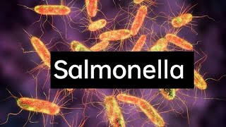 Salmonella II Morphology of Salmonella II Cultural Characteristics of Salmonella [upl. by Einial]