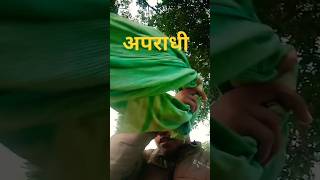 Aparadhi shortvideo new ternding tuntunyadav [upl. by Kursh410]