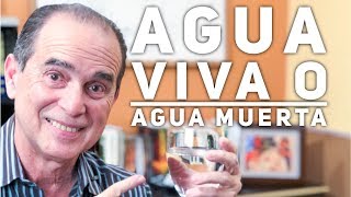 Episodio 1383 Agua Viva o Agua Muerta [upl. by Filmore]