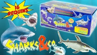 SHARKS amp CO Requins Boite Complète 16 Pochettes Surprise Altaya Jouets Toy Review Juguetes Tiburon [upl. by Tterrag]