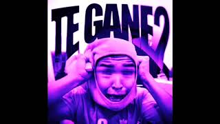 TE GANE 2 Slowed phonk LarinPHONK [upl. by Hanad]