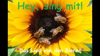 🎵🤍🐝🎶🐝🎶🐝👀quotDas Lied von den Bienenquot  Kinder u Volkslieder  Liedtext Notenlink ↓InfoBoxquot [upl. by Htrahddis748]