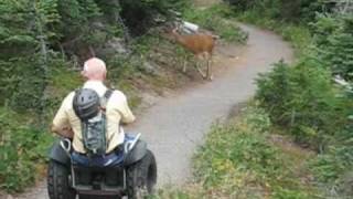 Segway® Wheelchair Kit on Forest Trails [upl. by Vargas]