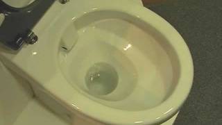 Avalon Rimless Toilet by Plumbline [upl. by Nivloc]