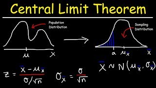 Central Limit Theorem  Sampling Distribution of Sample Means  Stats amp Probability [upl. by Ative619]