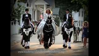 Mackinac Islands Festival Of the Horse [upl. by Ahtnamas]