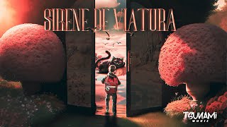 Sondplay Tríade Ariell  Sirene De Viatura Official Lyric Video [upl. by Legge]