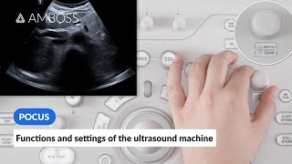 Point of Care Ultrasound  Functions and Settings of the Ultrasound Machine  AMBOSS Video [upl. by Ziana]