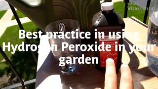 Best practice in using Hydrogen Peroxide in your garden [upl. by Marco]