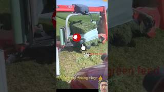 Edible grass 🍀 silage making technique shorts agriculture technology agritech automobile [upl. by Sathrum]