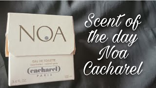 Scent of the day 💕 Noa Cacharel cacharel scentoftheday [upl. by Ayatan42]