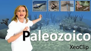 Historia da Terra Paleozoico  XeoClip [upl. by Ynetsed]