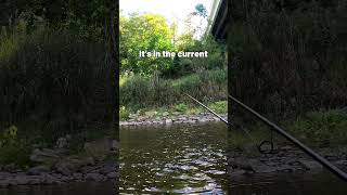 Steelhead Immediately Hammers Crawler On First Cast troutfishing [upl. by Heid]