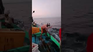 Preses penangkapan ikan nelanyan tradisional nelayan fishing fyp [upl. by Speroni812]