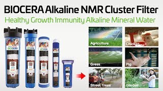 Alkaline Water Filters Alkaline Water Filter  Healthy Growth Immunity Alkaline Water [upl. by Hilel]