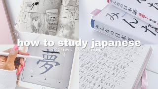 how i study japanese tips from an actual language major  THE ULTIMATE GUIDE [upl. by Ahsinrac]