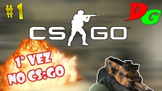 1° Vez Jogando CSGO [upl. by Ynaffik]