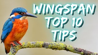 Top 10 tips for Wingspan [upl. by Broucek]