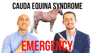 Cauda Equina Syndrome Emergency Back Spine Surgery [upl. by Carboni52]