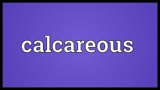 Calcareous Meaning [upl. by Tobias]