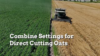 Combine Settings for Direct Cutting Oats  Practical Cover Croppers [upl. by Cadmann]