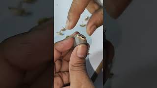 gold earrings design making video😊🫶🥰jewellerytrendingjewellerydesigngoldmakingviralvideoring [upl. by Zorine]