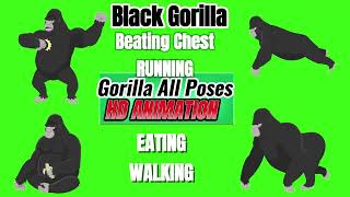 black gorilla all poses green screen  gorilla emoji  black gorilla emoji Gogomelon5 [upl. by Asiret]